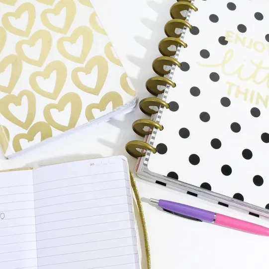 2cover mockup mockup of 2 planner covers