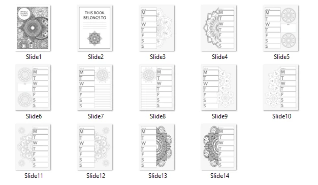 preview of coloring planner Preview of Mandala Coloring Planner