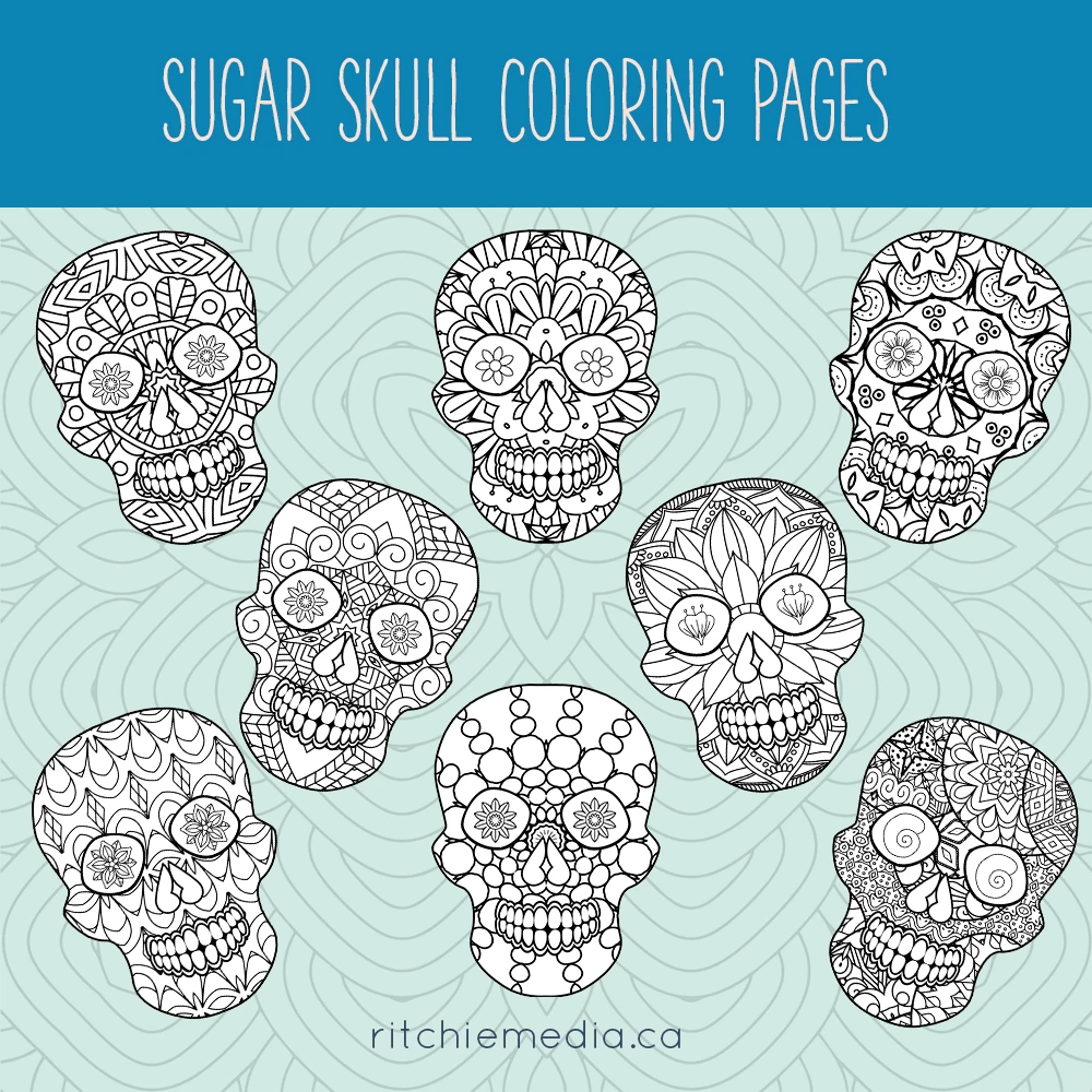 sugar skulls promo image