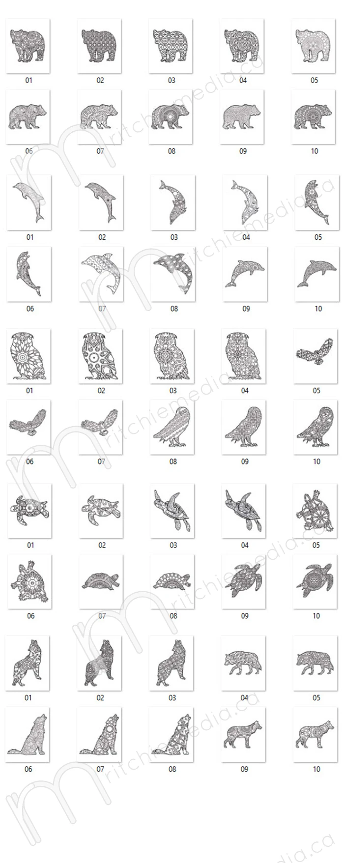 preview of spirit animals coloring pages