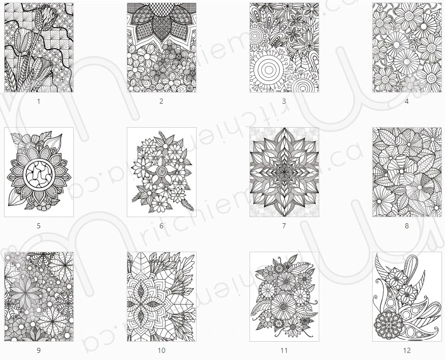 preview image of flower pages copy