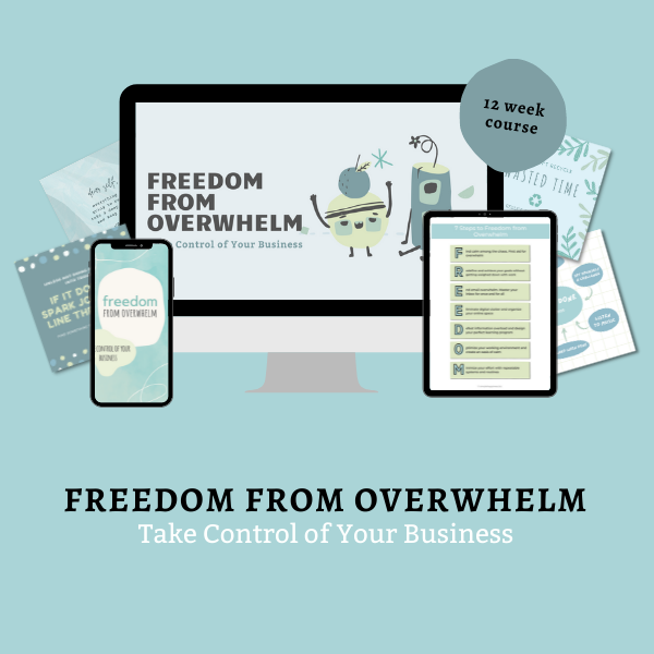 freedom  from overwhelm promo mockup