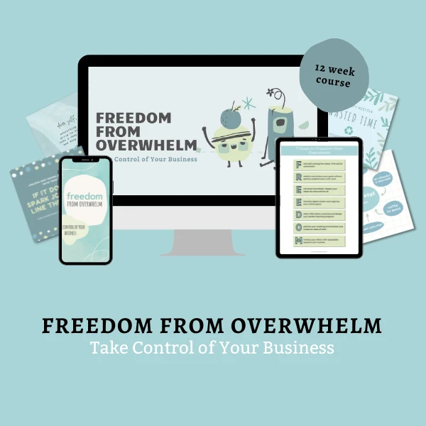 freedom  from overwhelm promo mockup