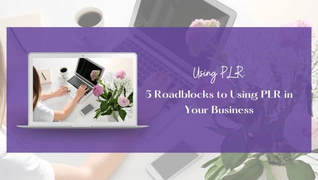 5 roadblocks to using plr