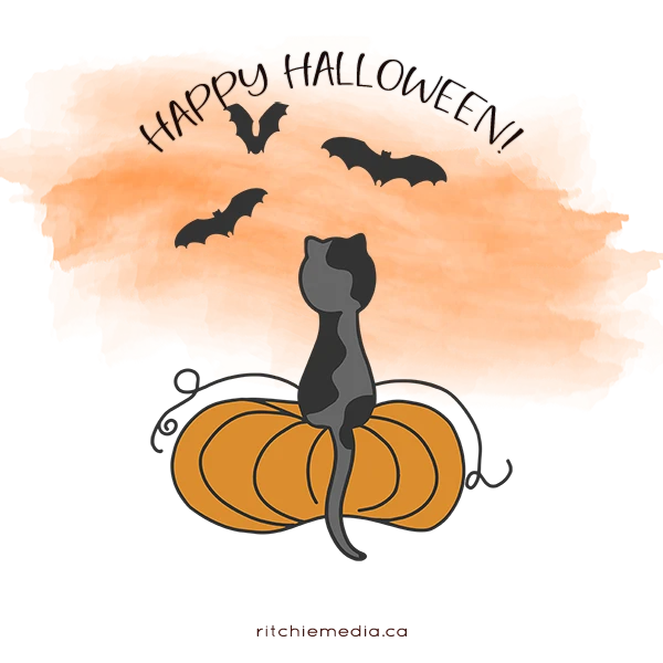 happy halloween - cat on a pumpkin watching bats flying